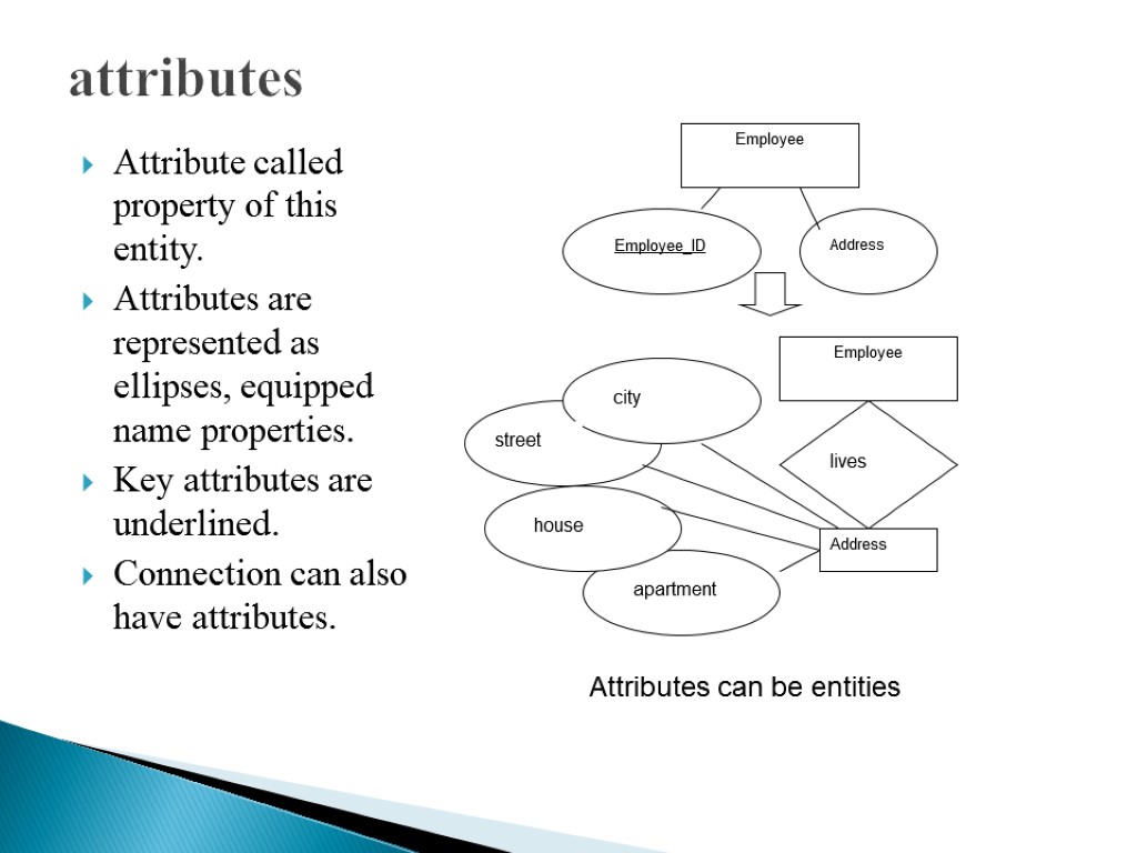 attributes Attribute called property of this entity. Attributes are represented as ellipses, equipped name